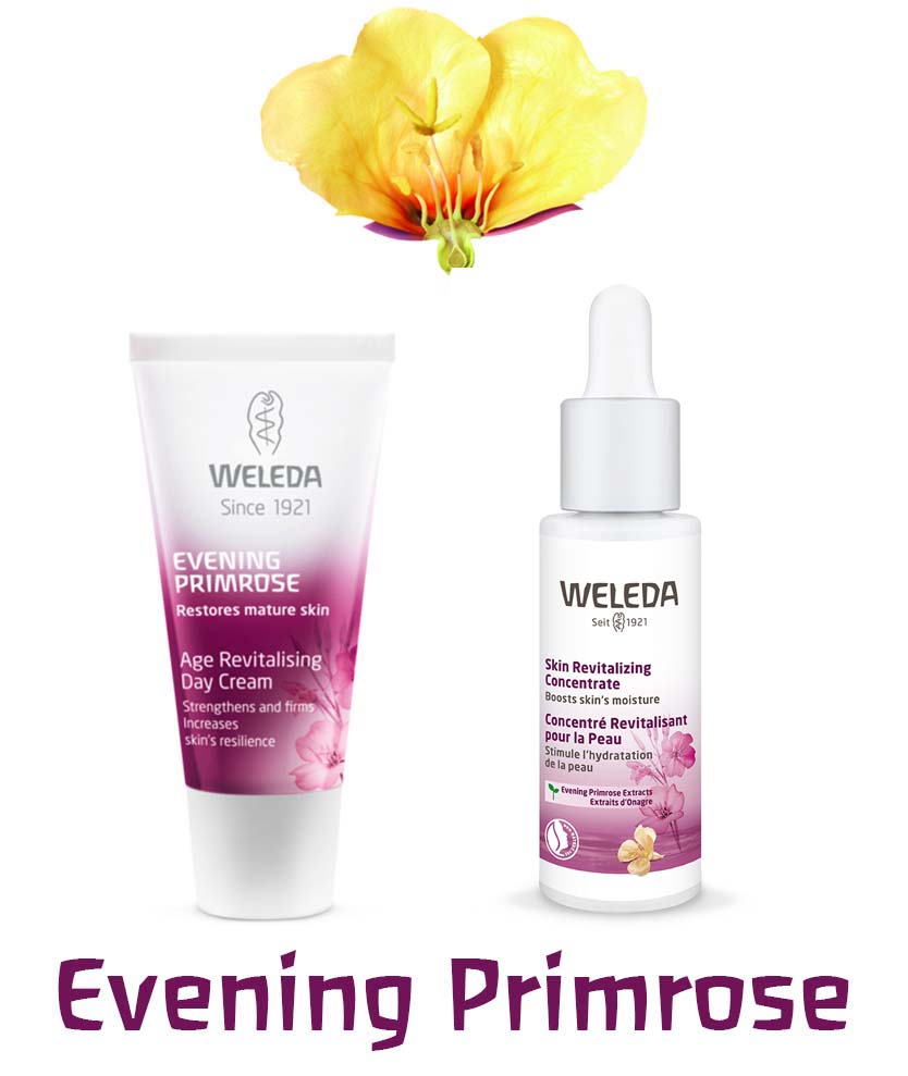 Weleda Evening Primrose Facial Skin Care 