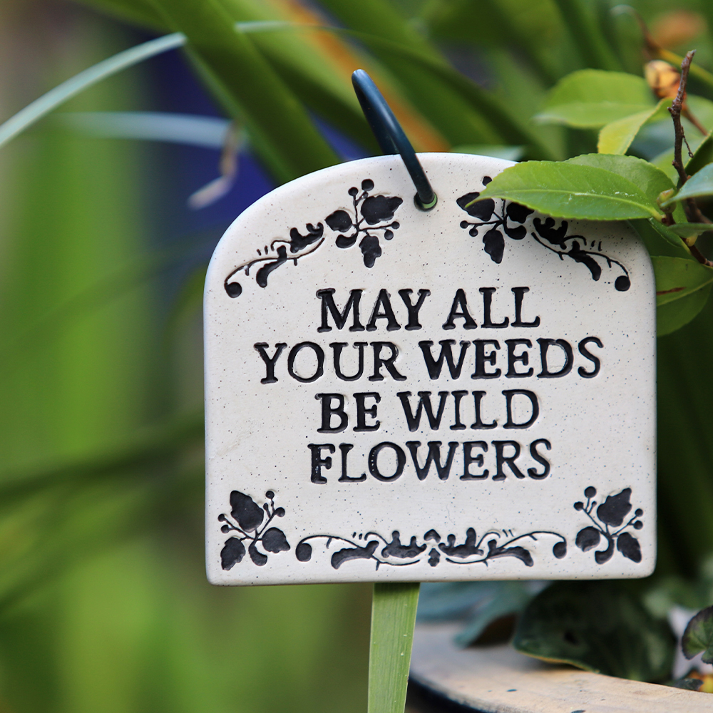 May all your weeds be flowers