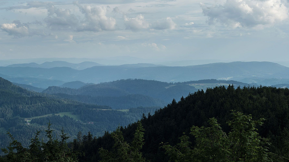 Mountainous landscape