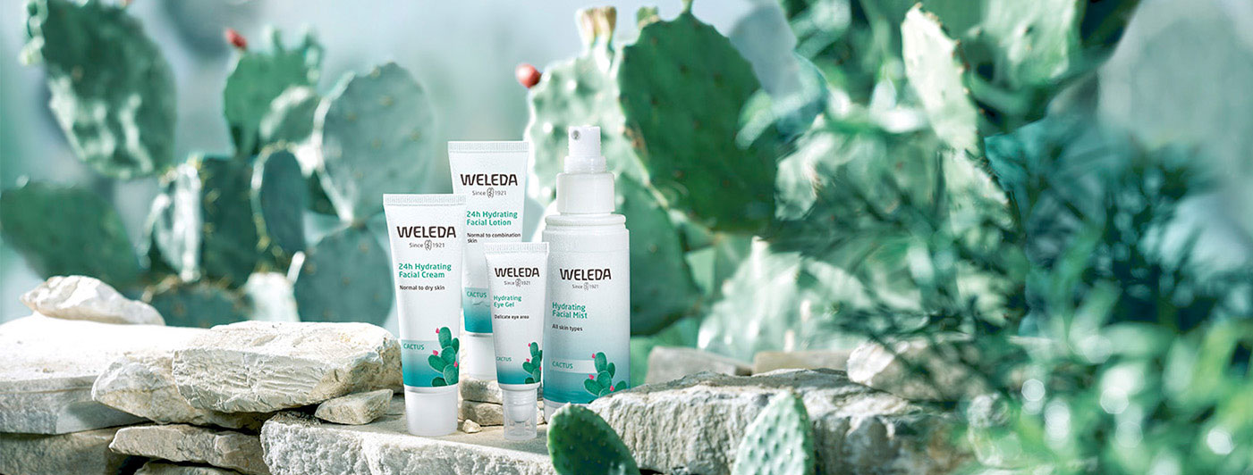 Prickly Pear Cactus Range