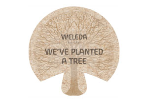 Weleda Christmas 2020 TreeSisters Partnership Weleda Christmas 2020 TreeSisters Partnership