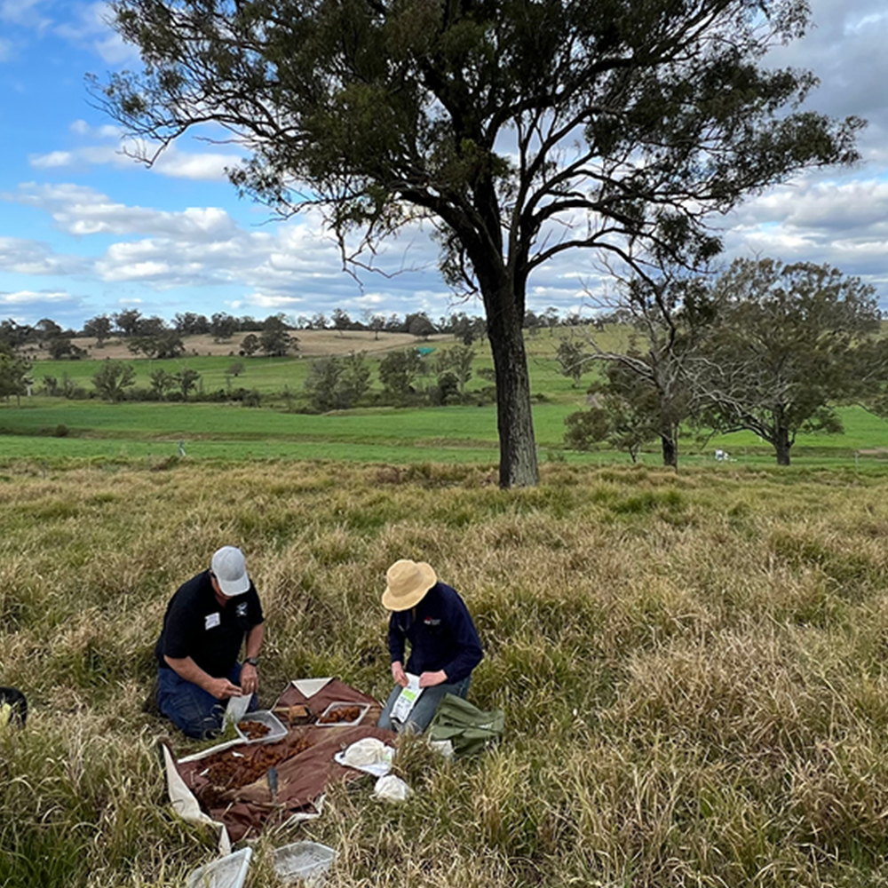 Australia farming Australia farming