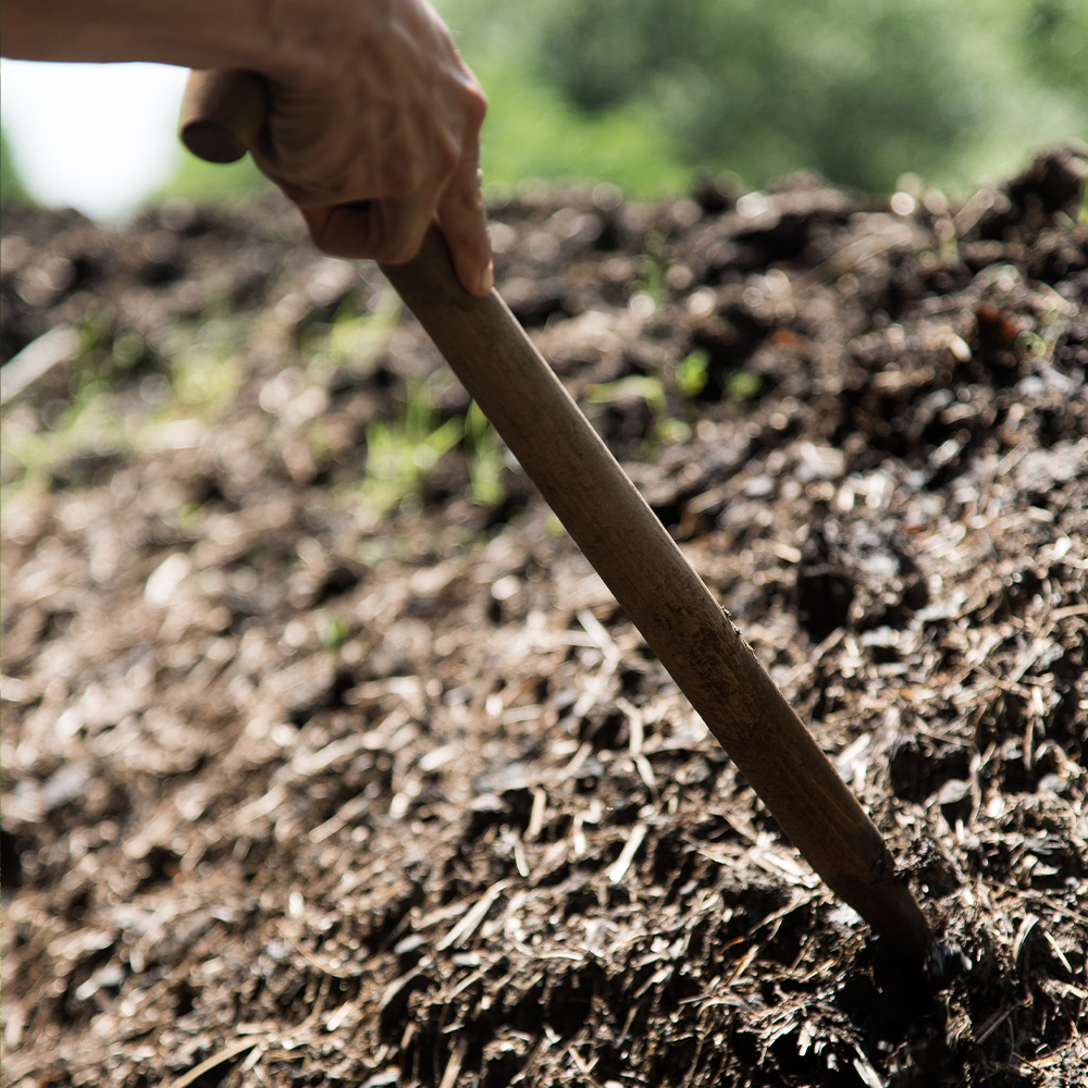 Compost Heap