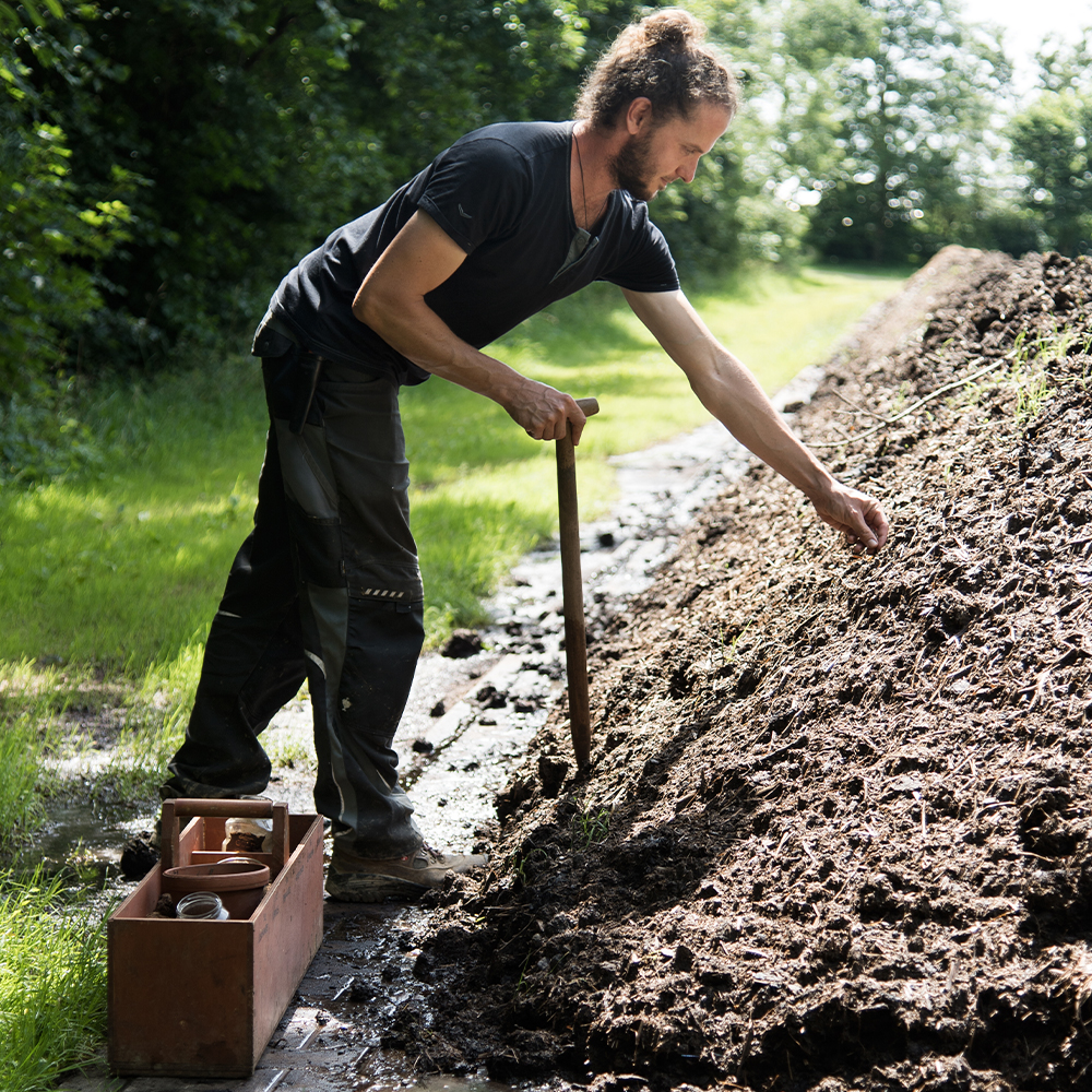 Compost Heap