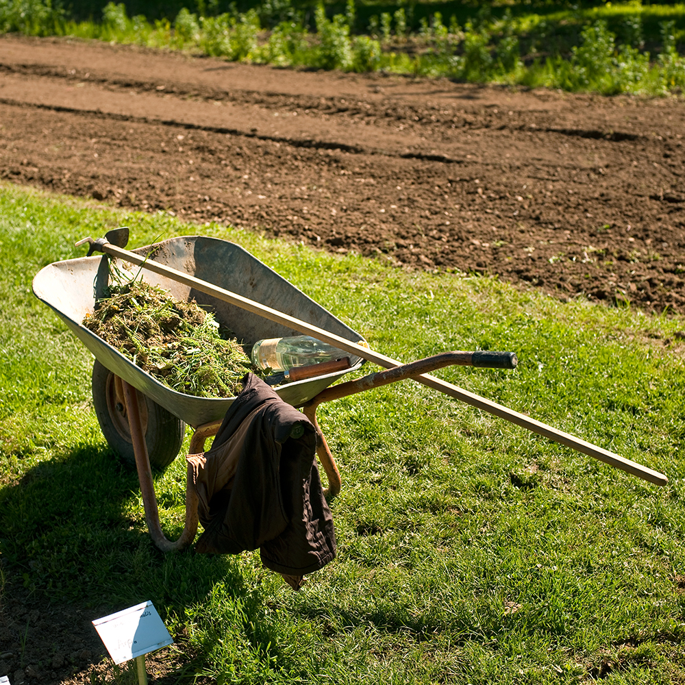 Wheelbarrow in the Garden Wheelbarrow in the Garden