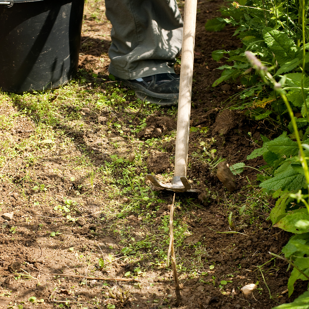 Caring for the Garden