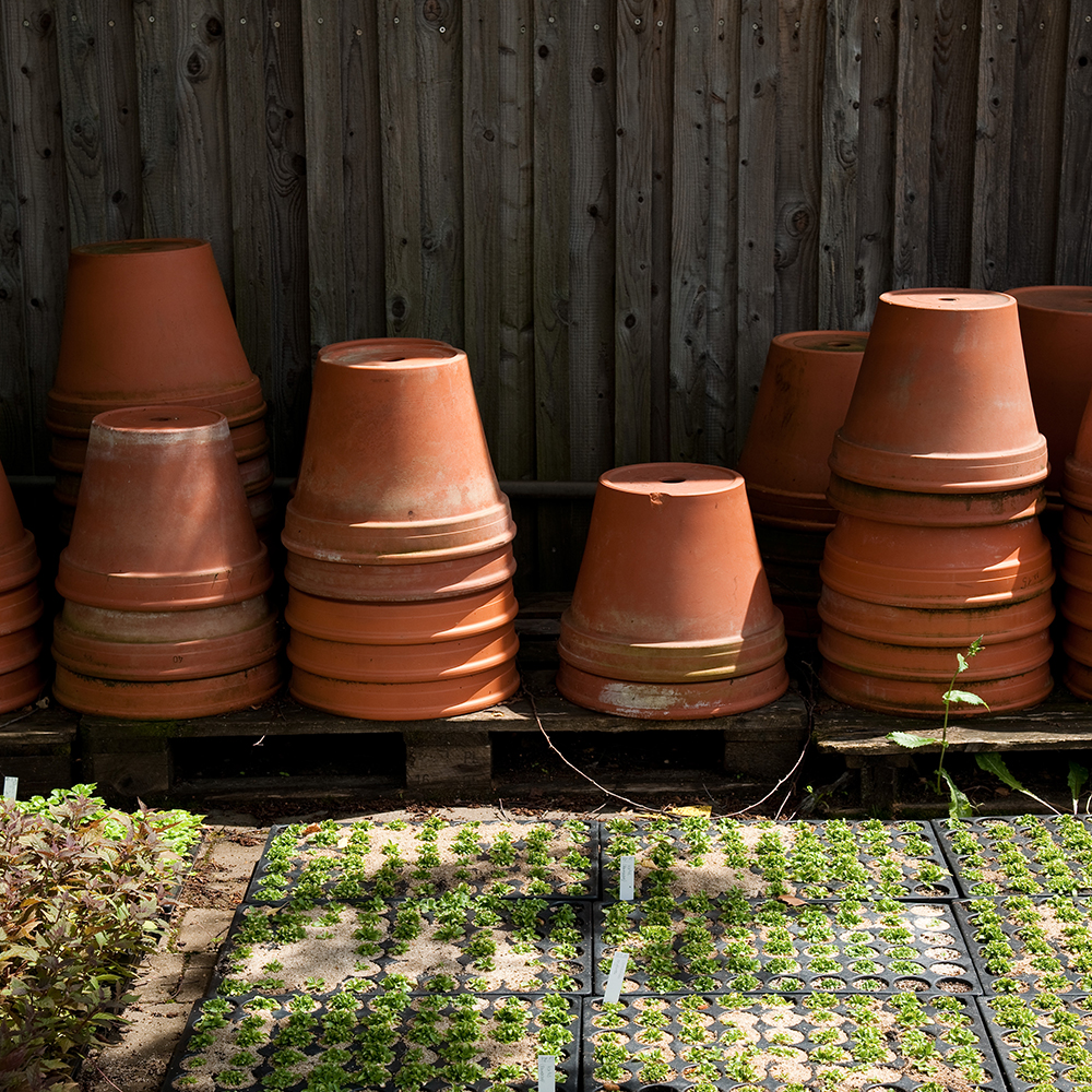 Plant Pots