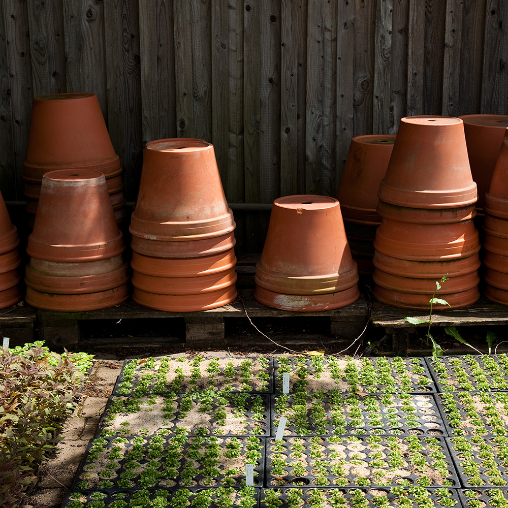 How compost helps your garden soil