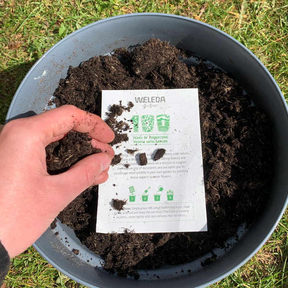 planting weleda organic seed card