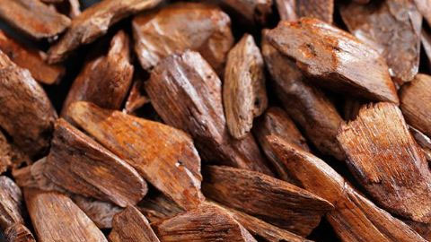 Sandalwood chips from New Caledonia
