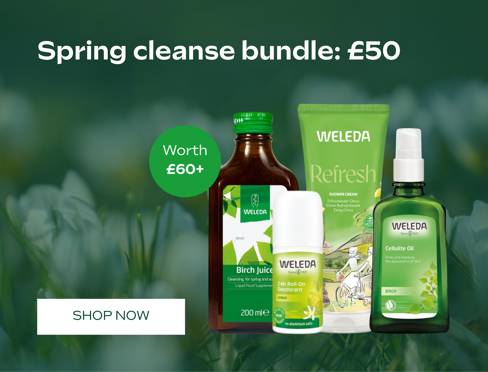 Weleda Spring Cleanse Bundle