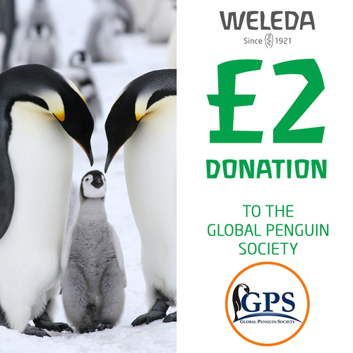 Global Penguin Society Donation
