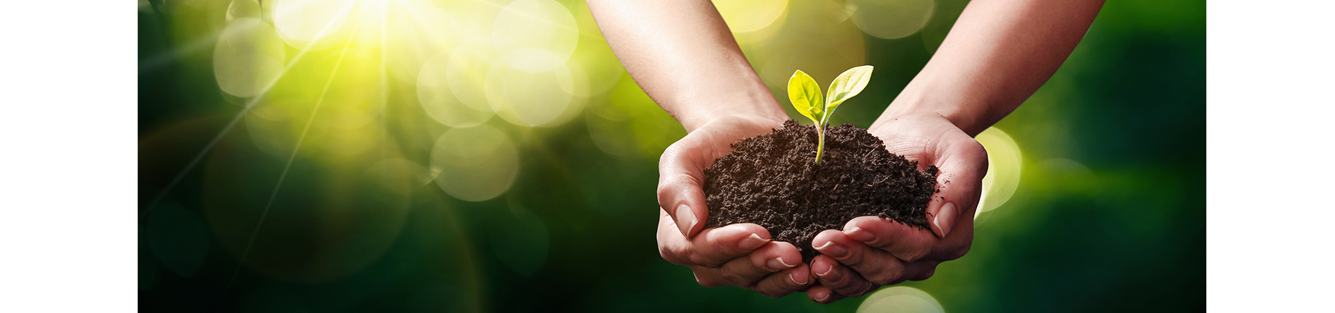 Soil health a living perspective