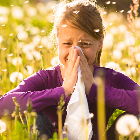 Pollen chart