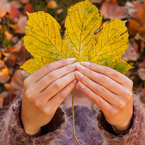 Seasonal skin care