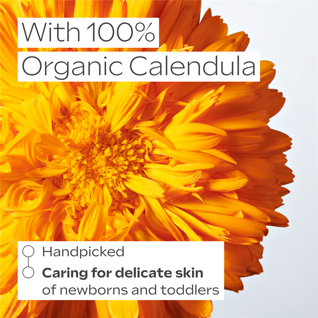 Calendula Face Cream 50ml
