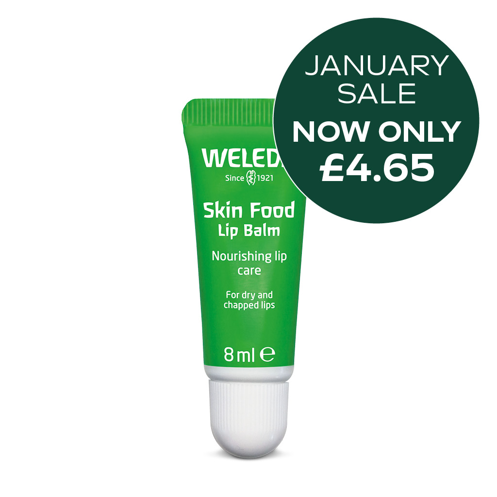 Skin Food Lip Balm 8ml