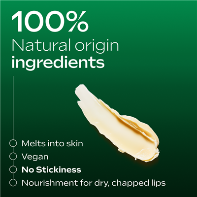 Skin Food Lip Stick 4.8g