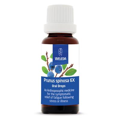 Prunus spinosa 6X Oral Drops 25ml