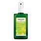 Citrus FRESH Deo Spray 100ml